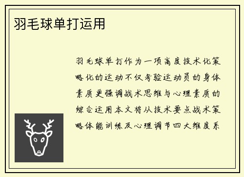 羽毛球单打运用